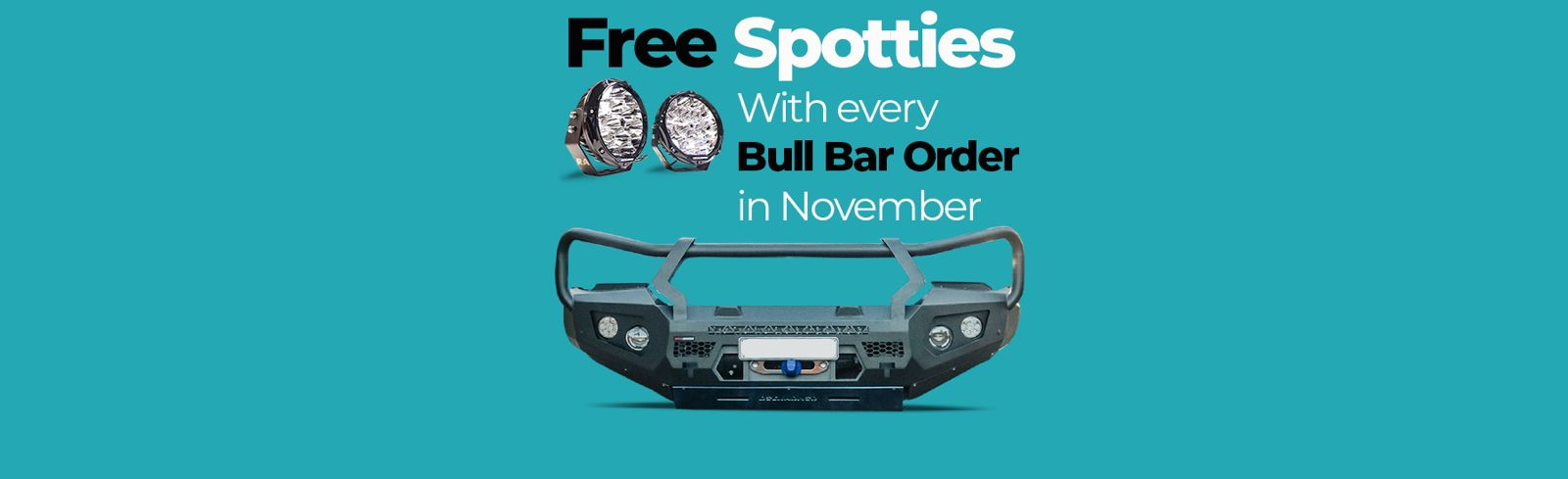 FREE SPOTTIES WITH THIS BULL BAR IN NOVEMBER