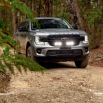 Ford Light bar behind Grill