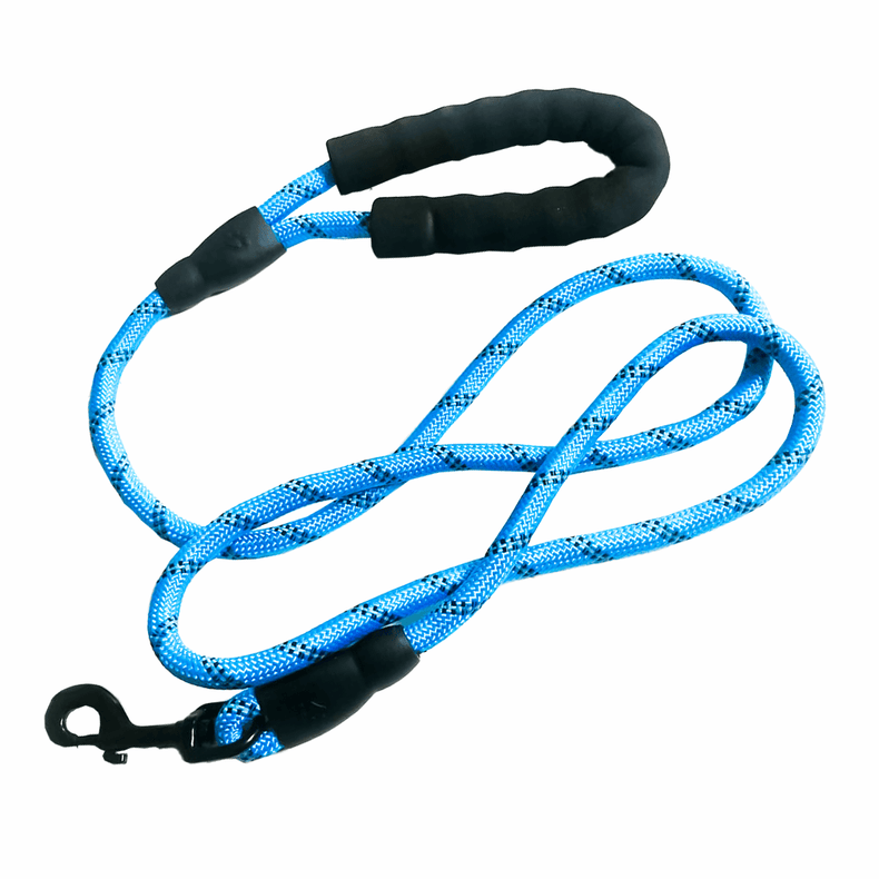 Nylon Dog Leash 160cm | Padded Handle